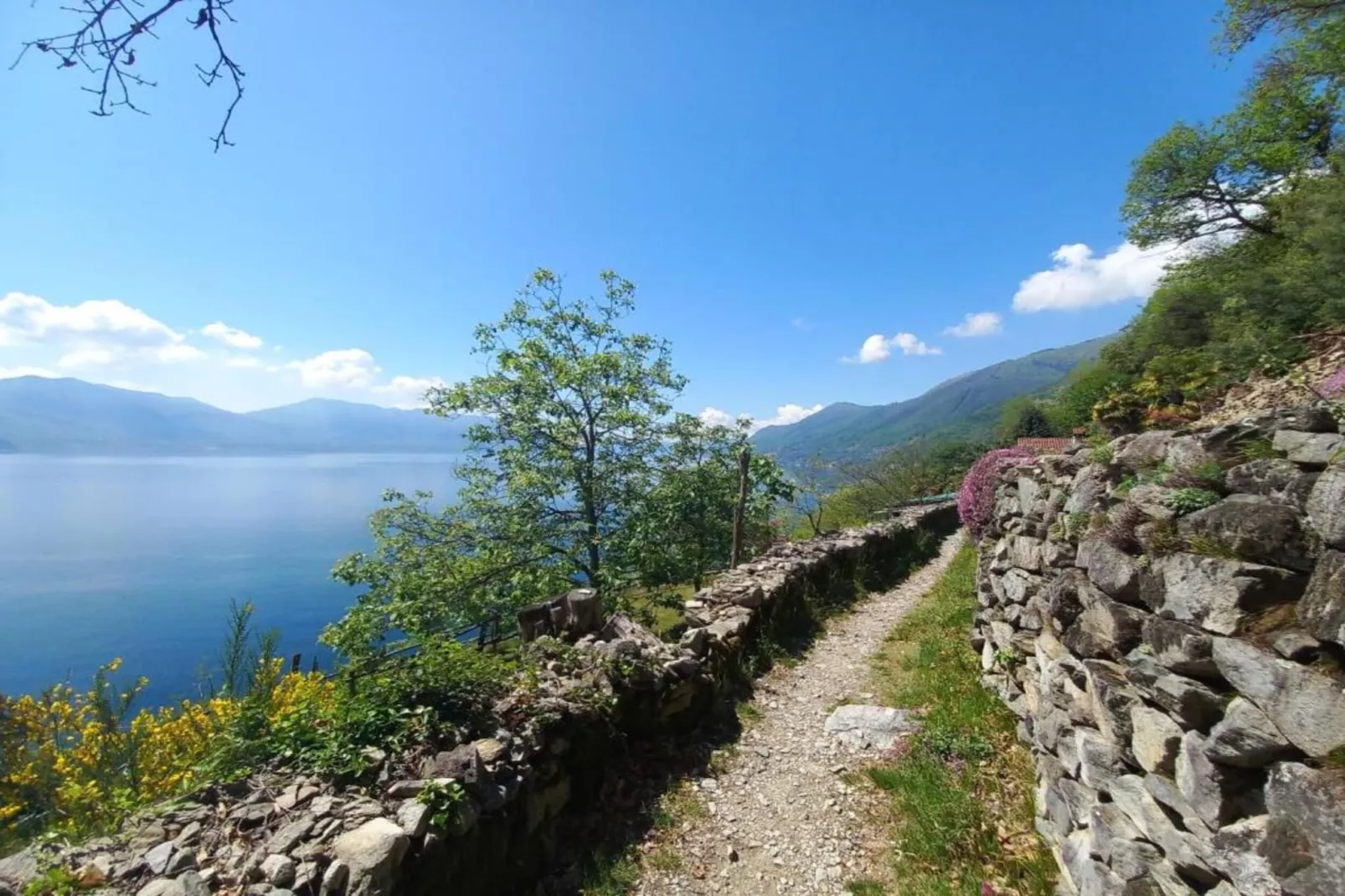 Vigneto D18-Gebieden zomer 20km