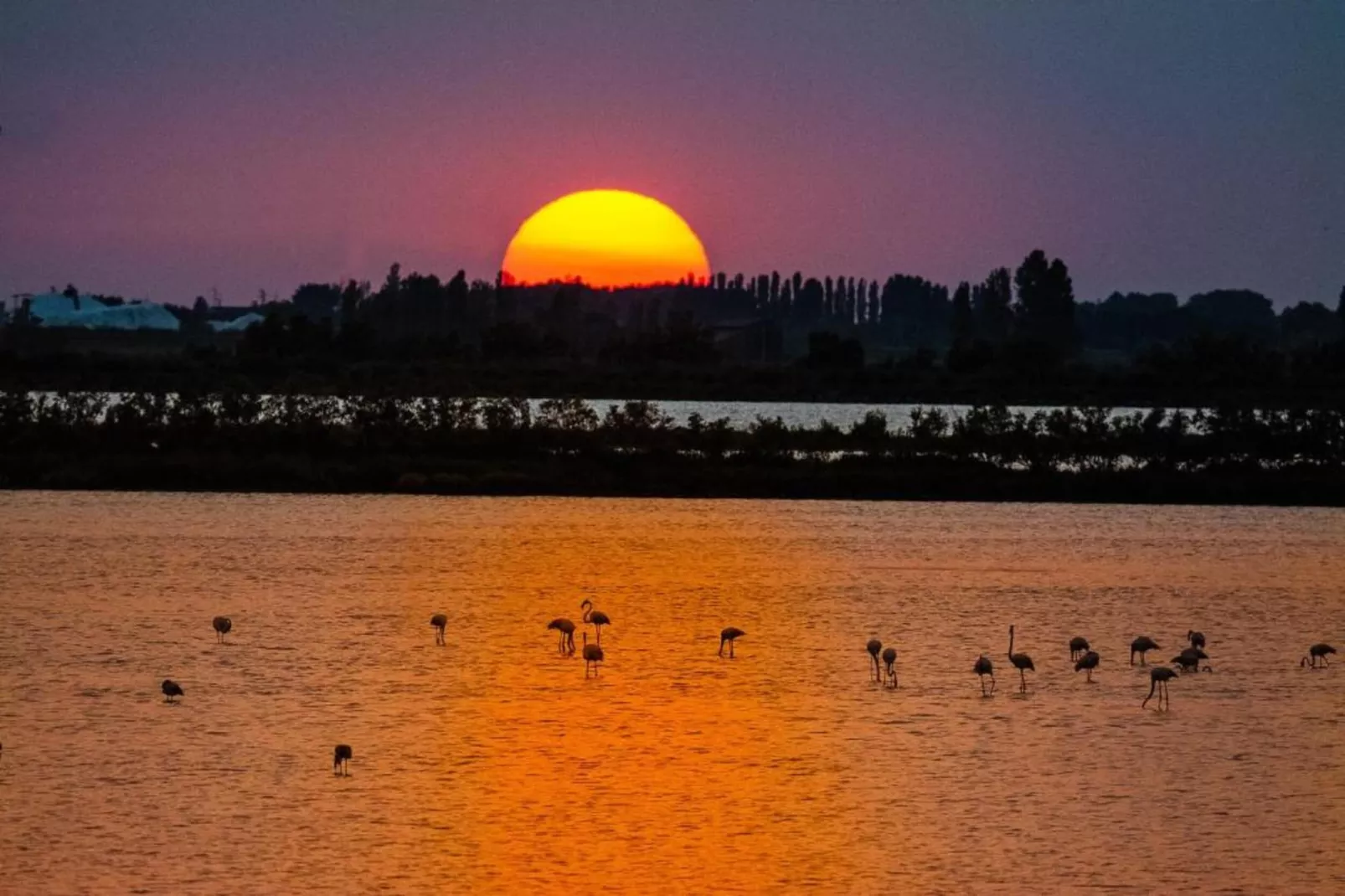 Ceseta 7-Gebieden zomer 1km