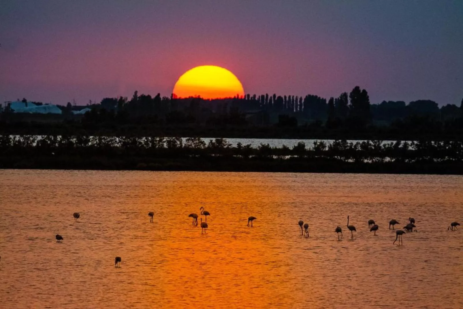 Ceseta 3-Gebieden zomer 1km