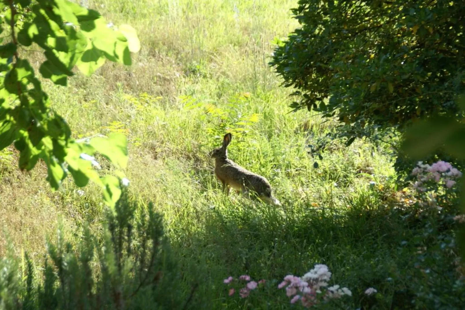 Noce-Gebieden zomer 20km