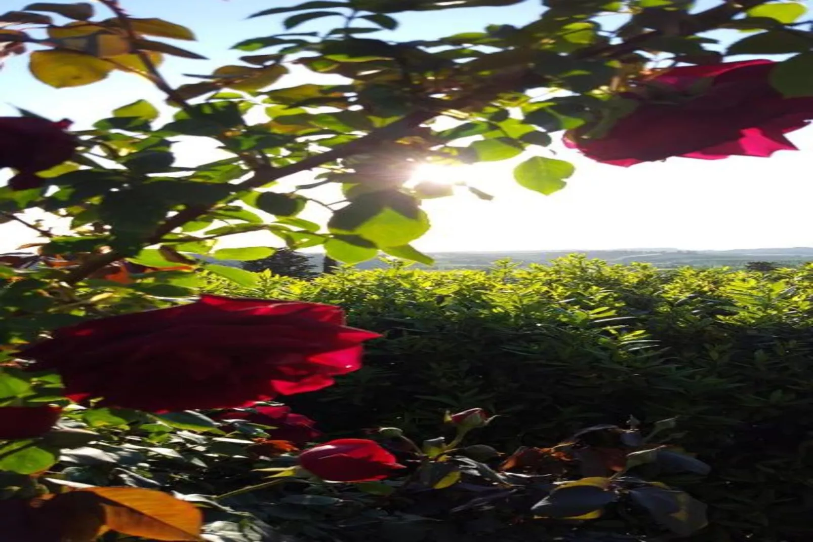 Gaville 8-Gebieden zomer 20km
