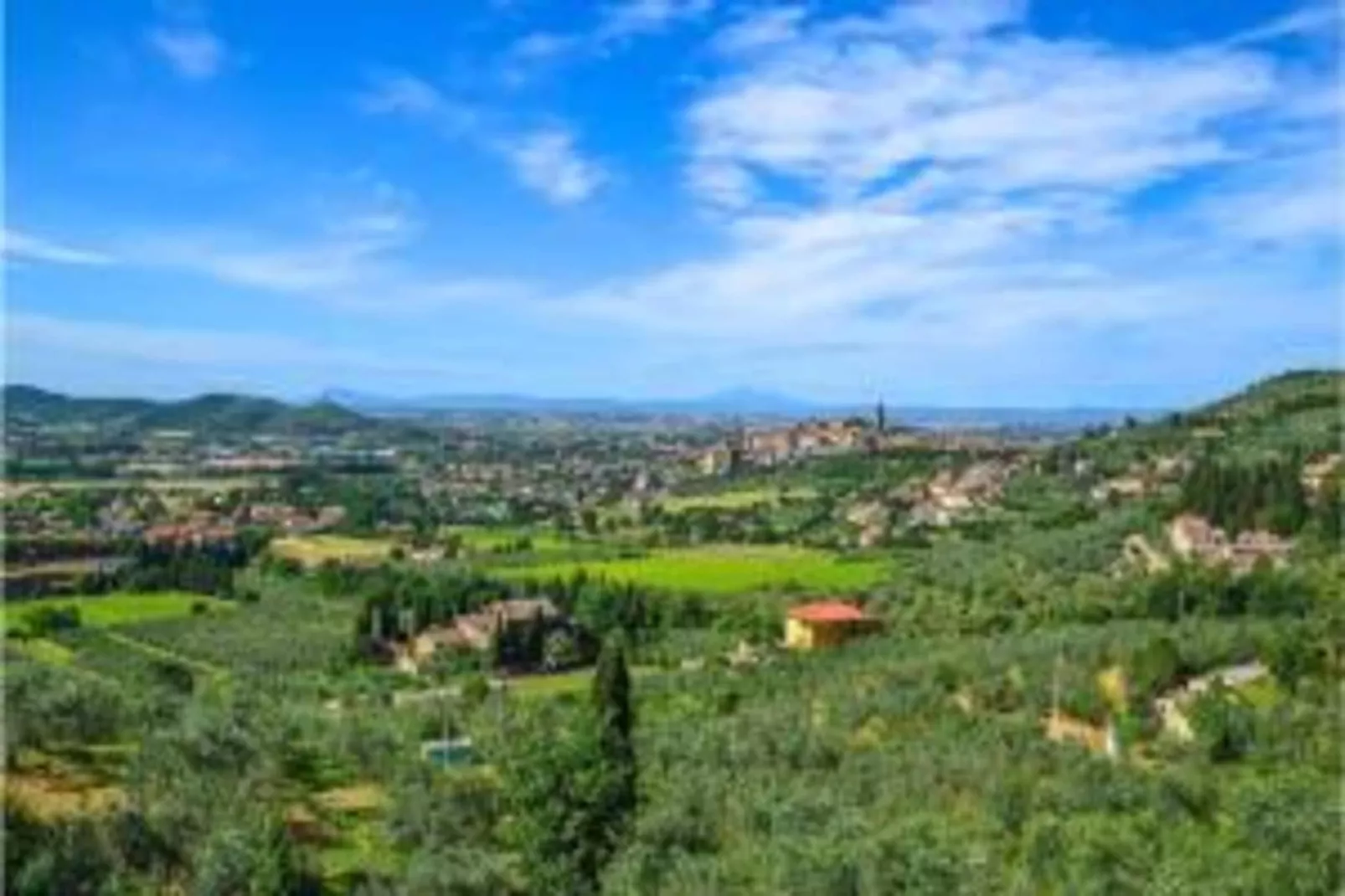 Orchidea-Gebieden zomer 20km