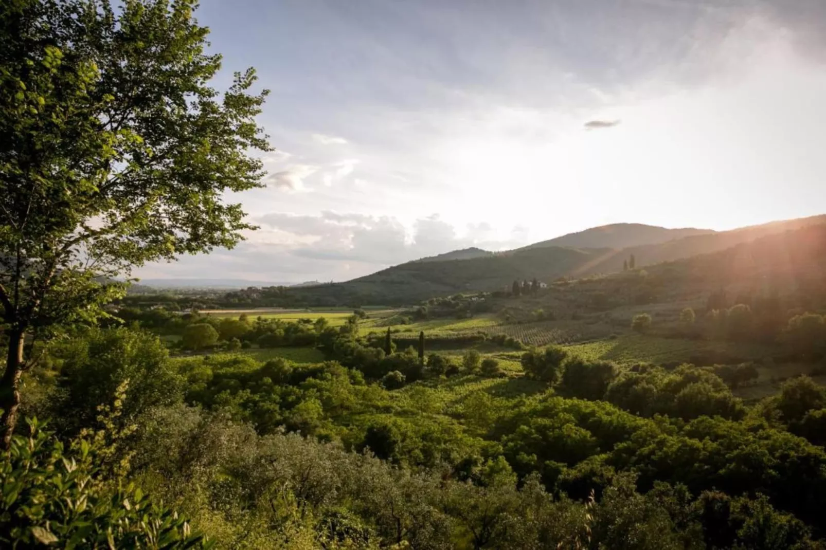 La Casa del Nonno-Gebieden zomer 20km
