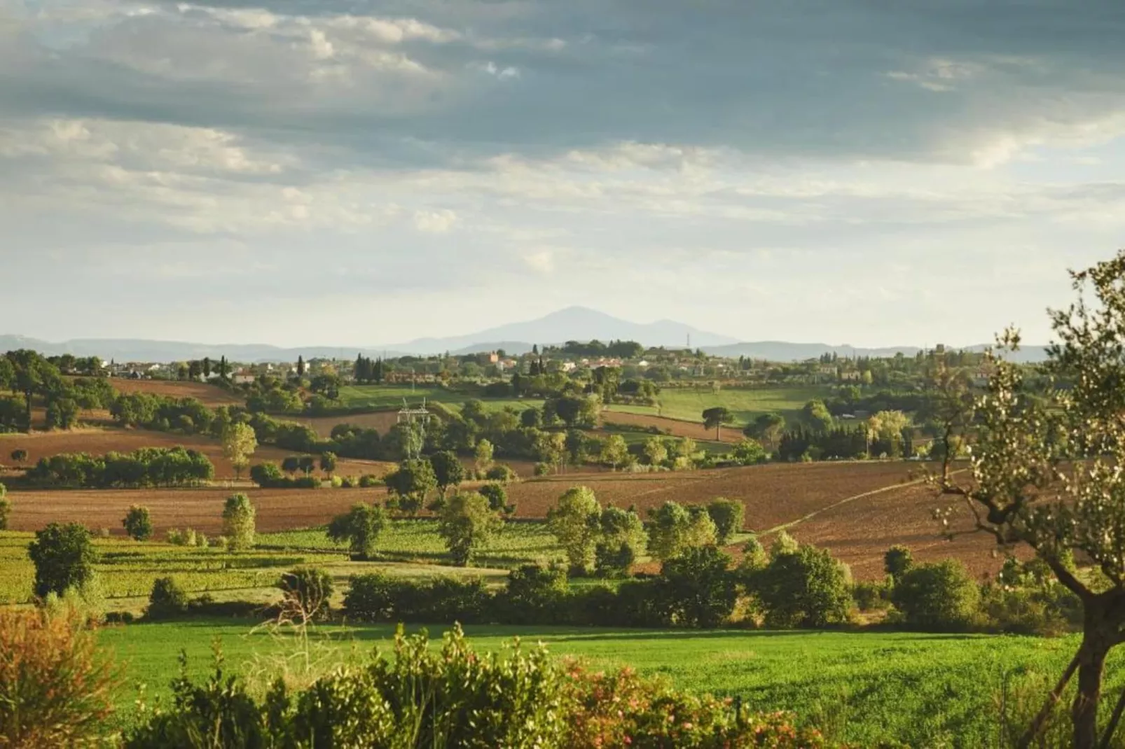 Castagno del Riccio-Gebieden zomer 5km