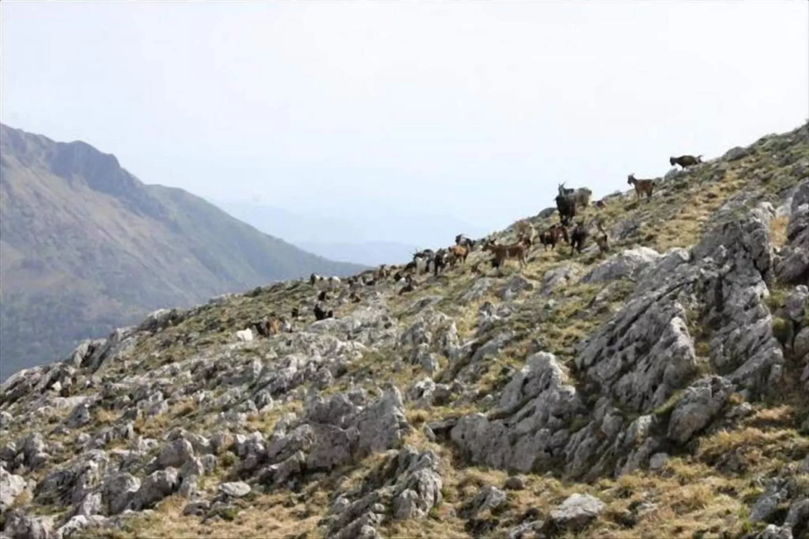 Casa Irene-Gebieden zomer 20km