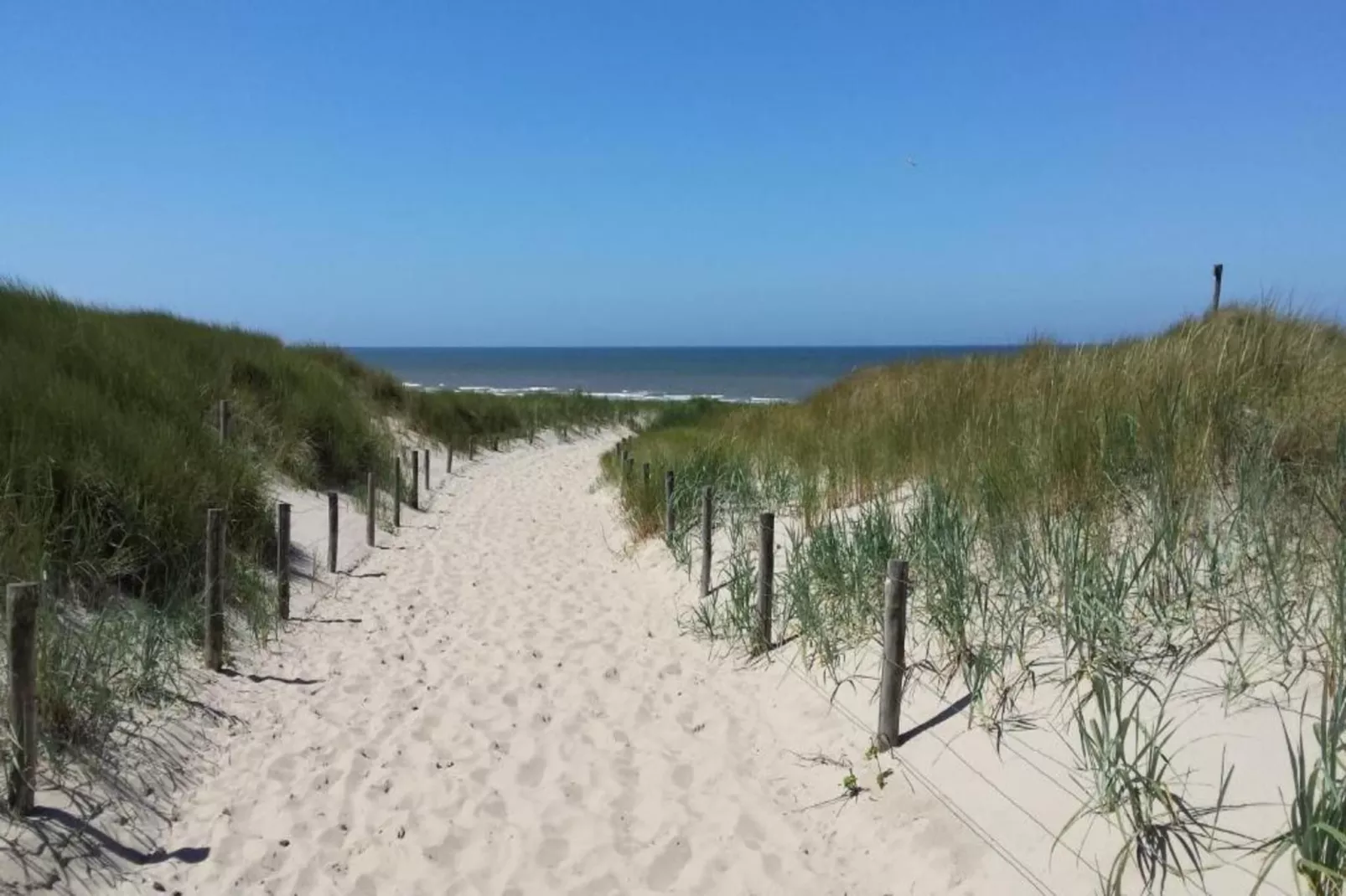 Zilte Bries-Gebieden zomer 20km