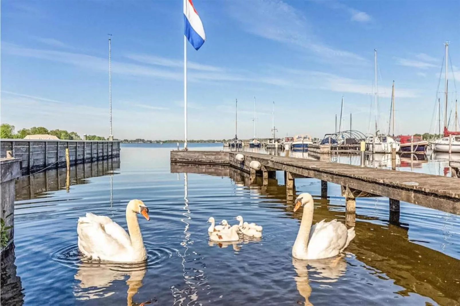 Bungalowpark Rien van den Broeke Village 8-Gebieden zomer 20km