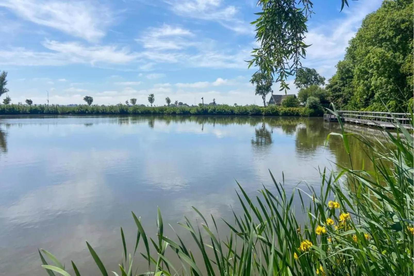 Vakantiehuis De Weide Blick-Gebieden zomer 20km