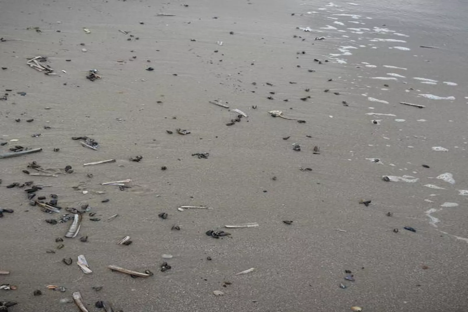 Strandslag 115-Gebieden zomer 20km