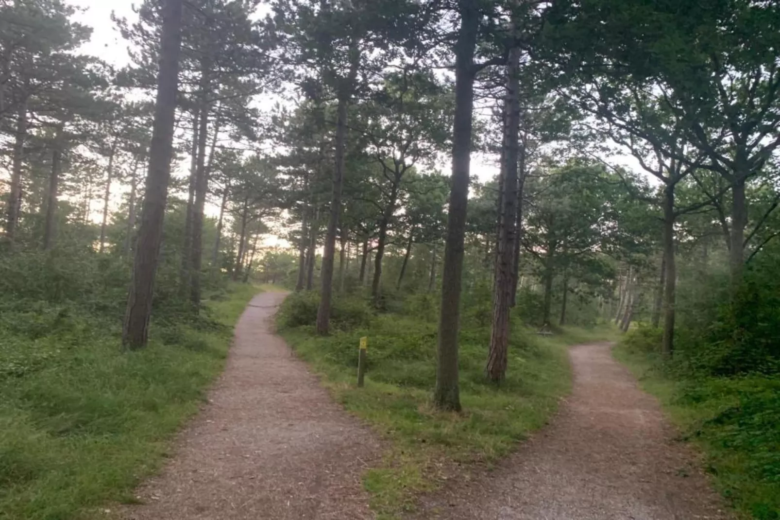 Residentie Californië 9-Gebieden zomer 20km
