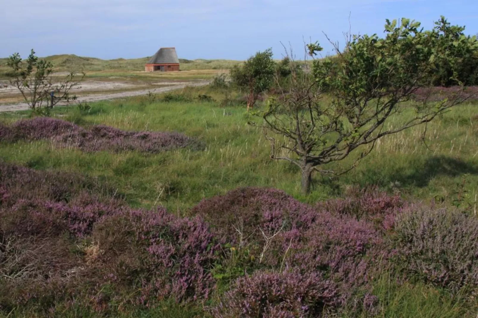 Residentie Californië 6-Gebieden zomer 20km