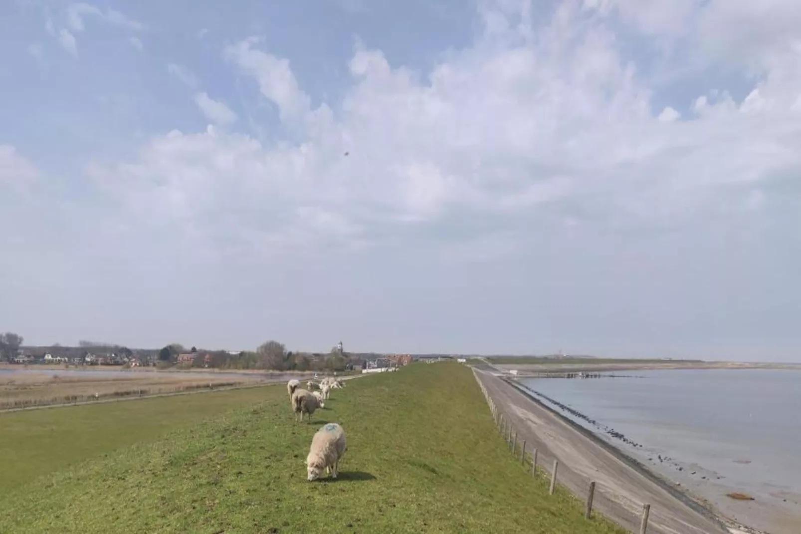 Kustpark Texel 7-Gebieden zomer 20km