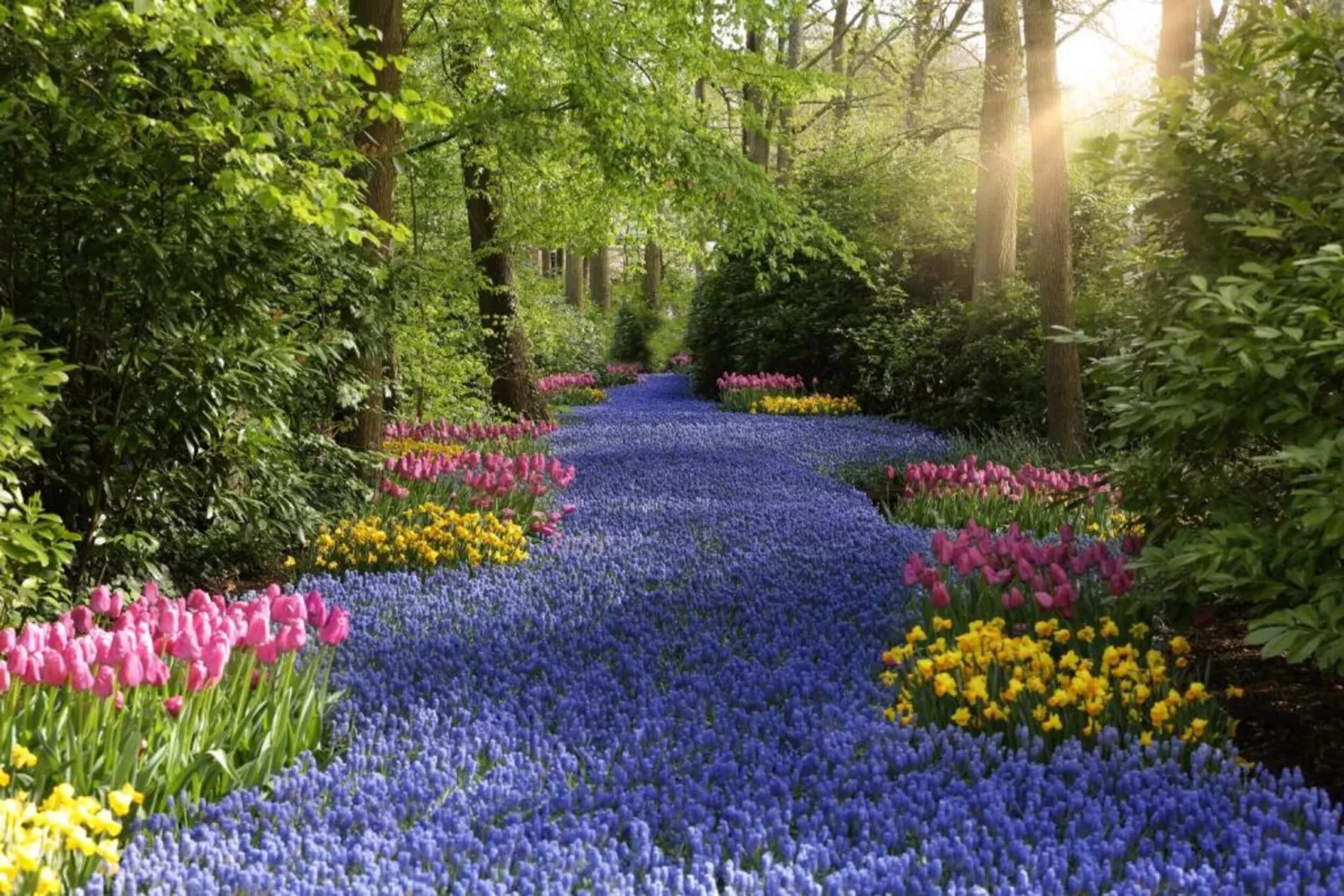 Bungalowpark 't Lappennest 1-Gebieden zomer 5km