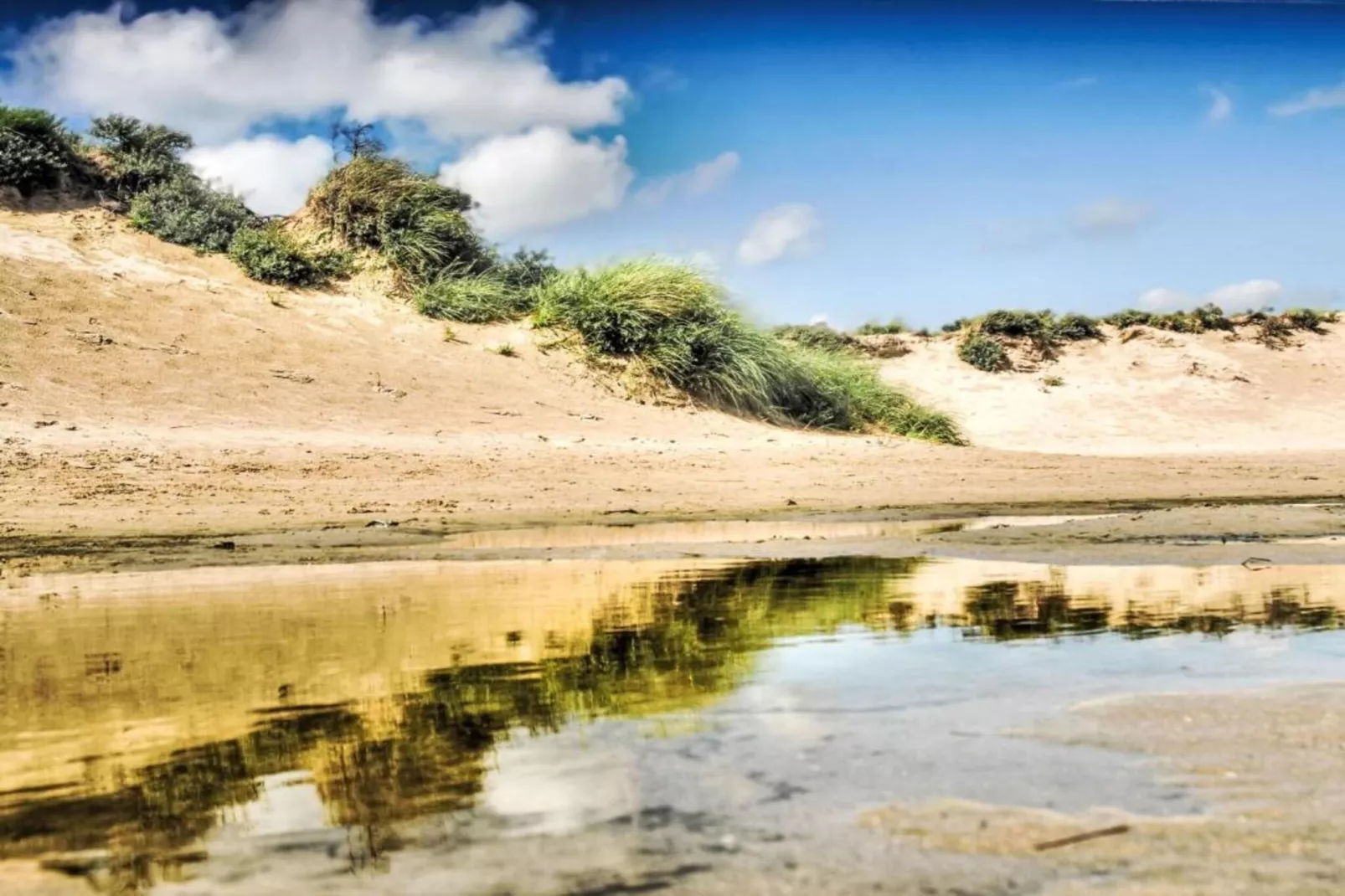 Bungalowpark 't Lappennest 4-Gebieden zomer 5km