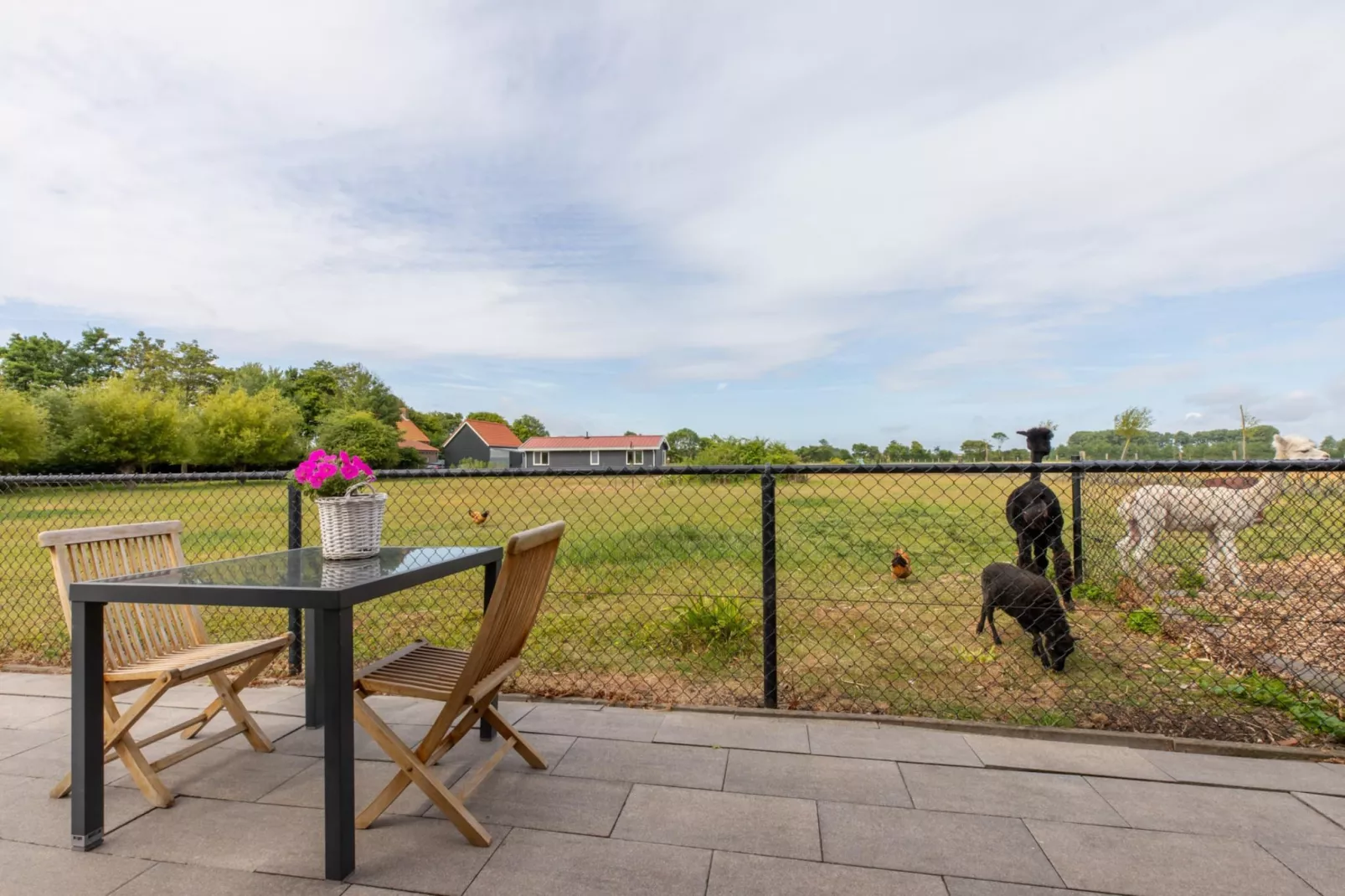 Vakantiehuis Groeneweg 3 'Jikkemien-Uitzicht zomer