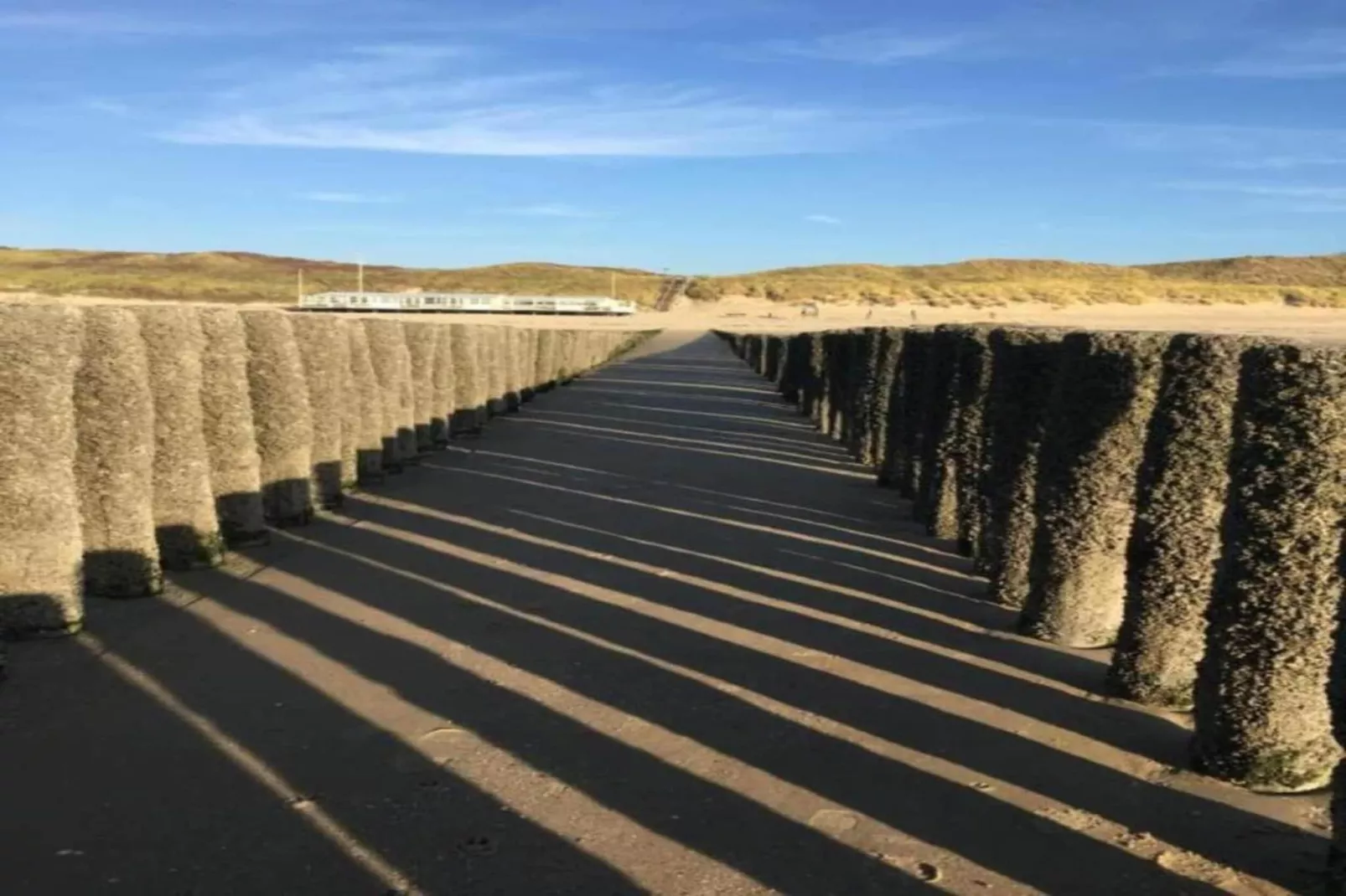 Noordzee Résidence Dishoek 14-Gebieden zomer 5km