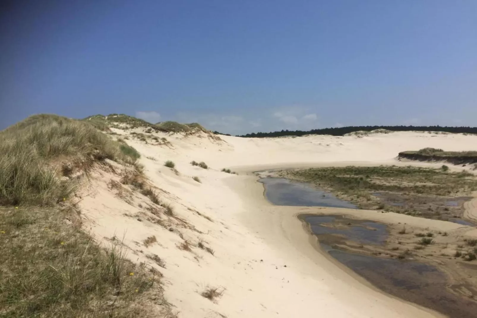 Hof van Craeck I-Gebieden zomer 20km