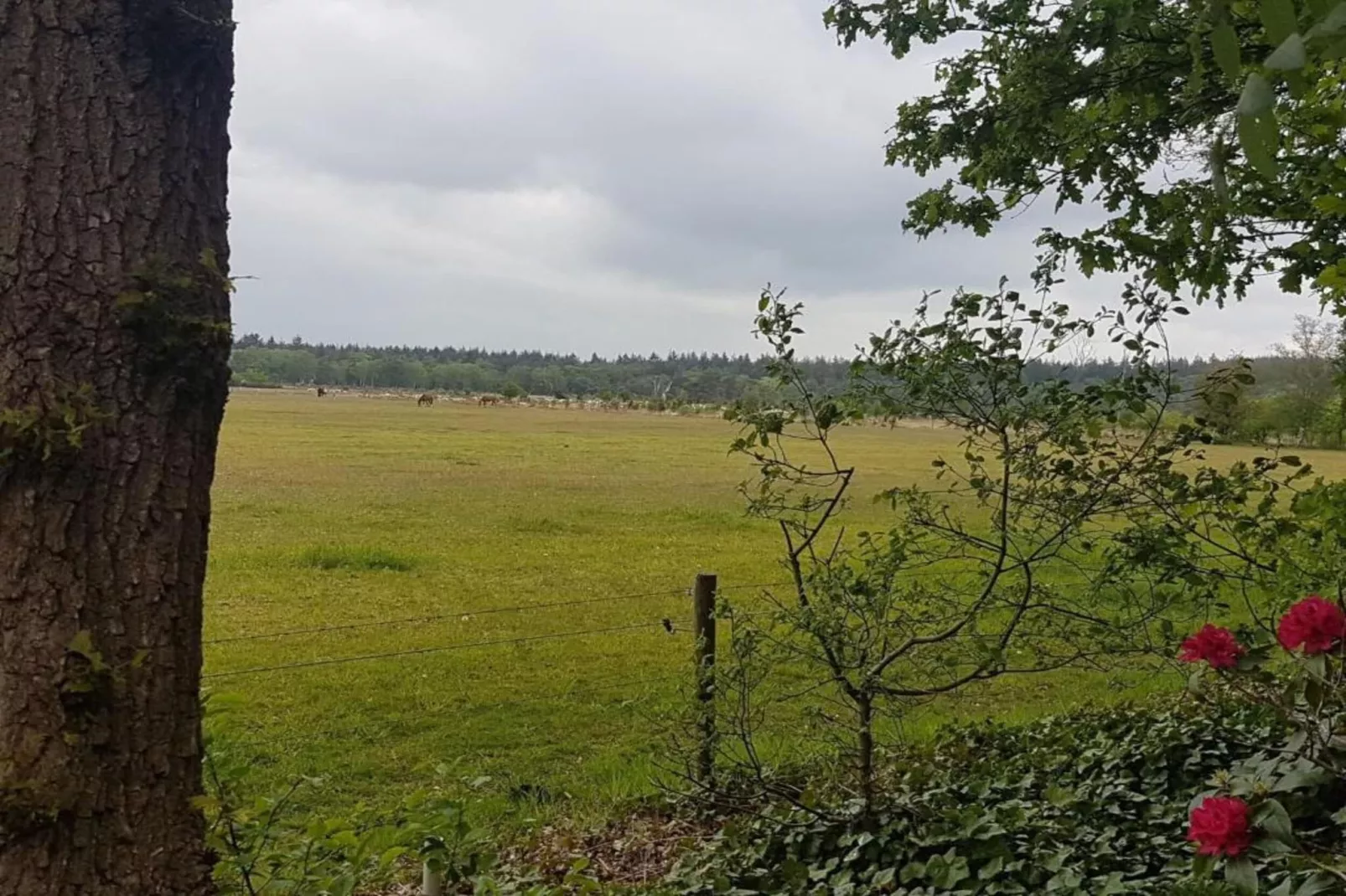 Hof van Salland 3-Gebieden zomer 5km