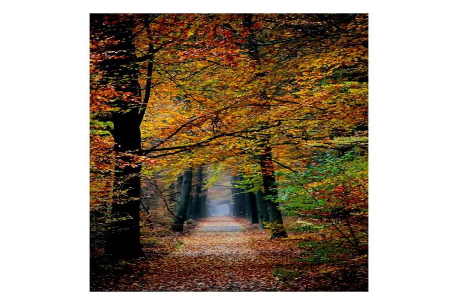 RCN de Jagerstee 3-Gebieden zomer 20km