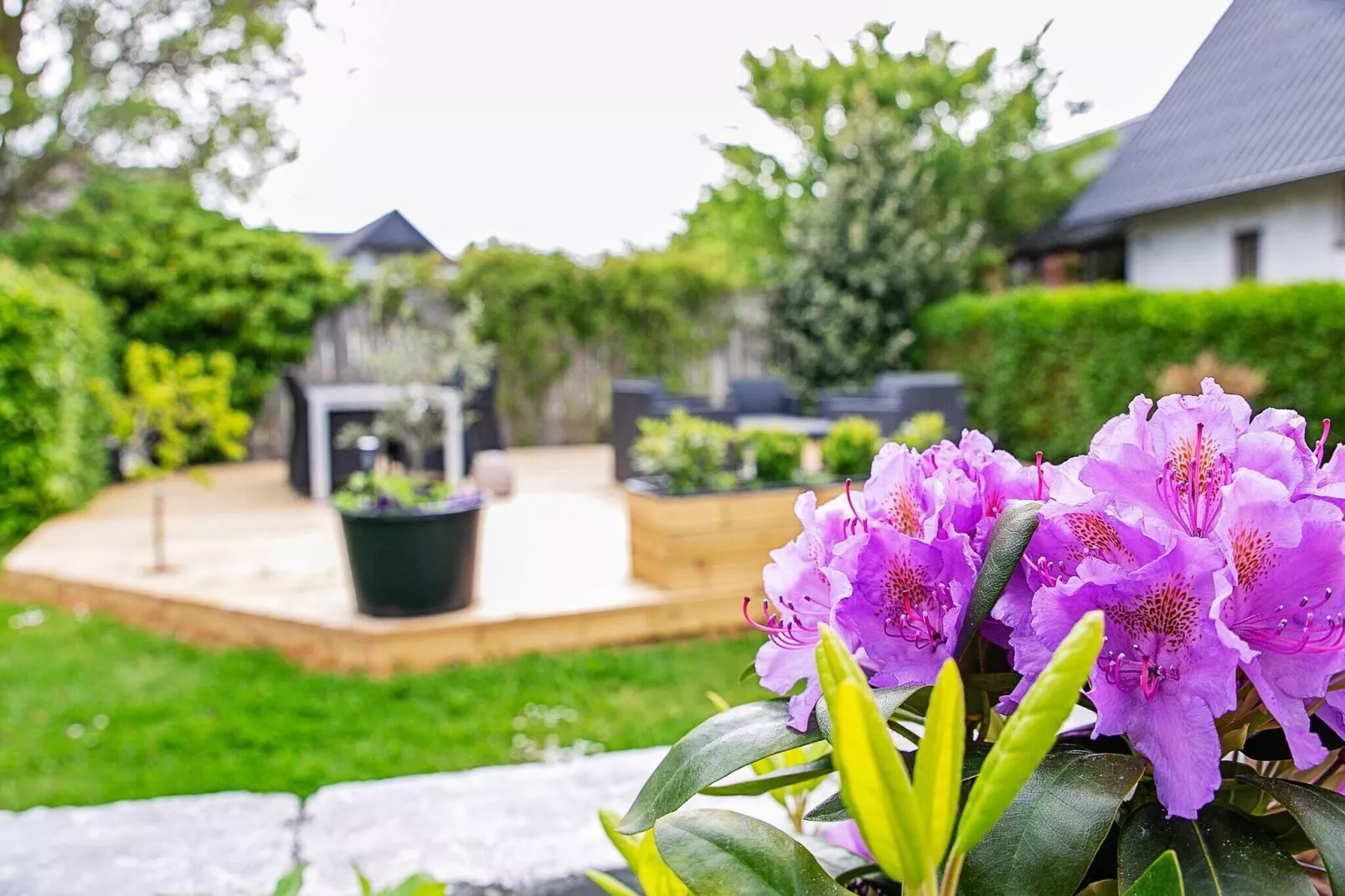 8 persoons vakantie huis in Bagenkop-By Traum-Niet-getagd