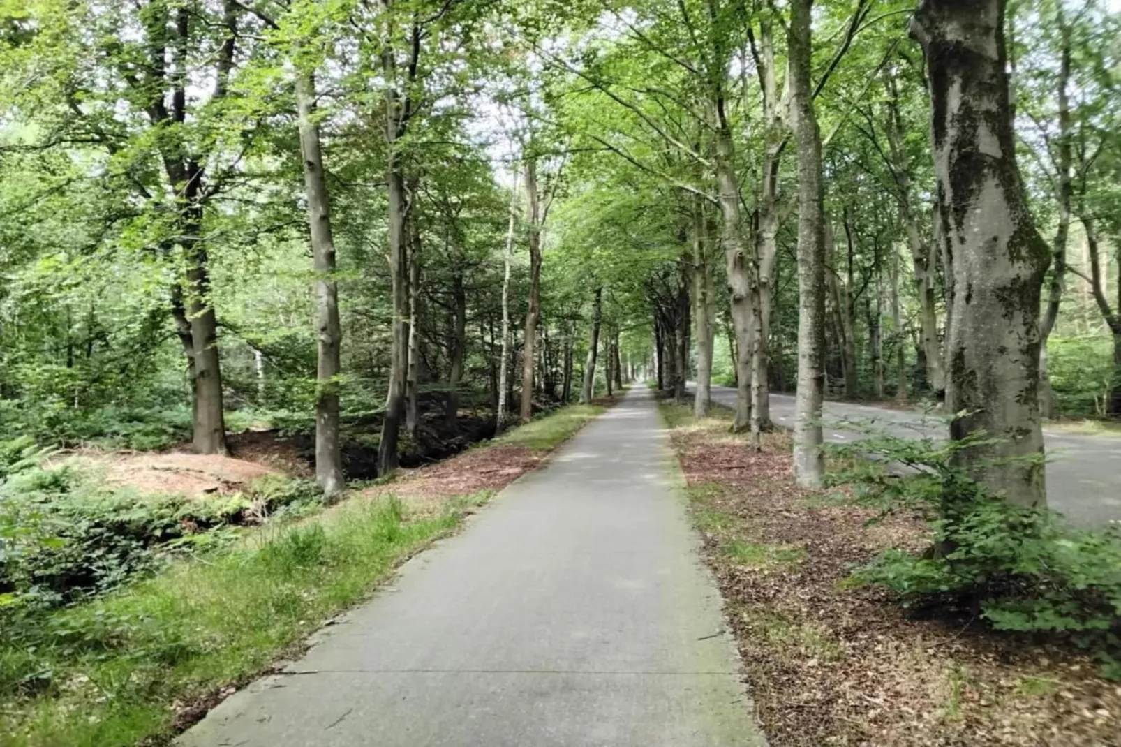 Recreatiepark Idskenhuizen 1-Gebieden zomer 20km
