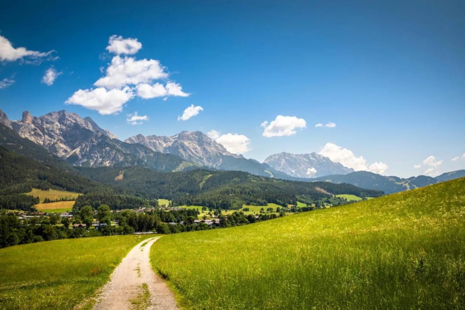 JUCHE FEWO - BLAUER SEE - Haus grün-Gebieden zomer 20km