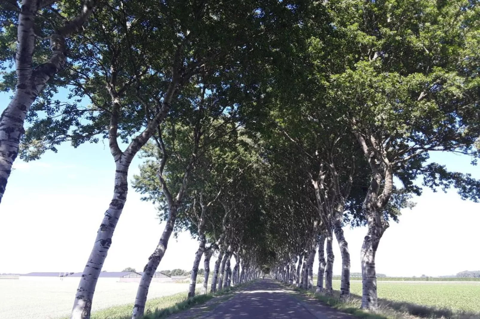 Oostkapelseweg 32 -Ooievaar-Gebieden zomer 20km