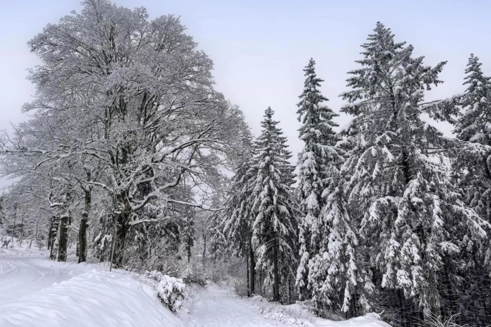 Ferienhaus Anna-Gebied winter 5km