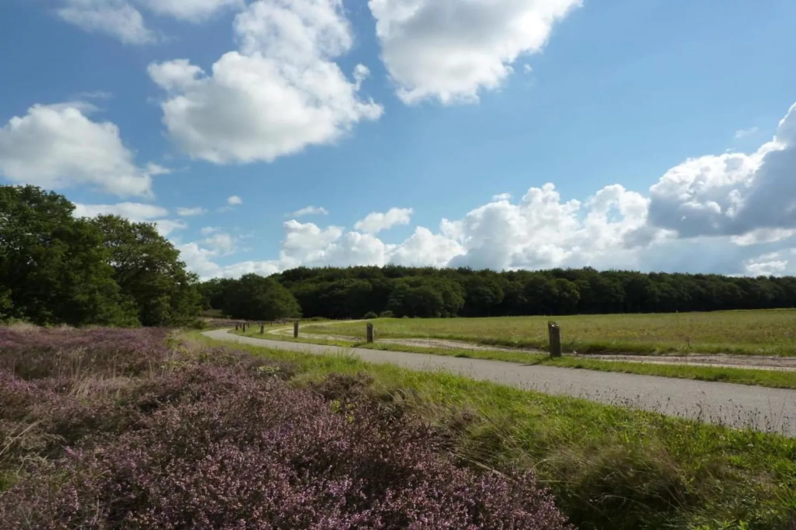 Glamping Resort Lauwersmeer 3-Gebieden zomer 20km
