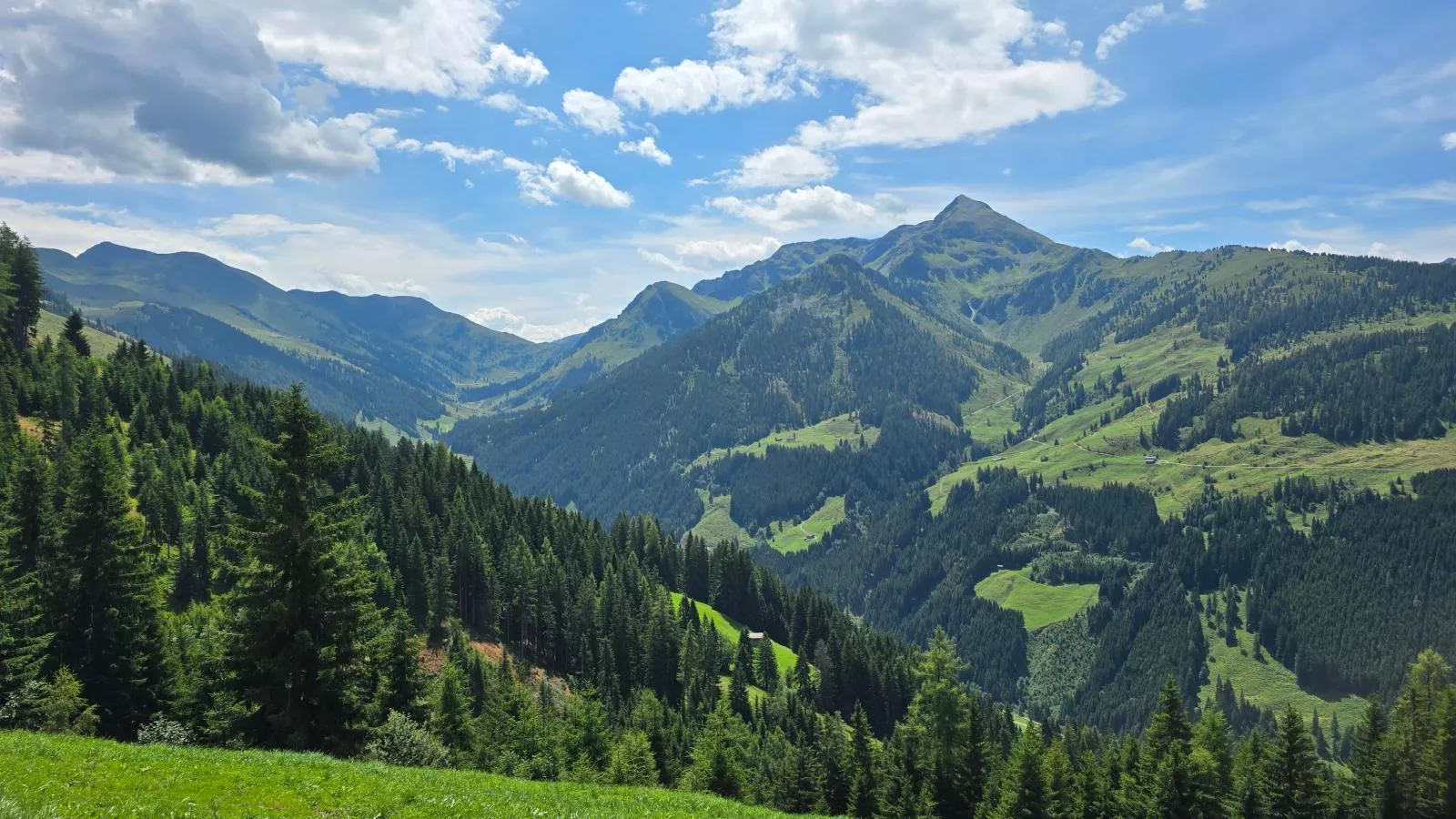 EAGGA-Niederleger Alm-Uitzicht zomer