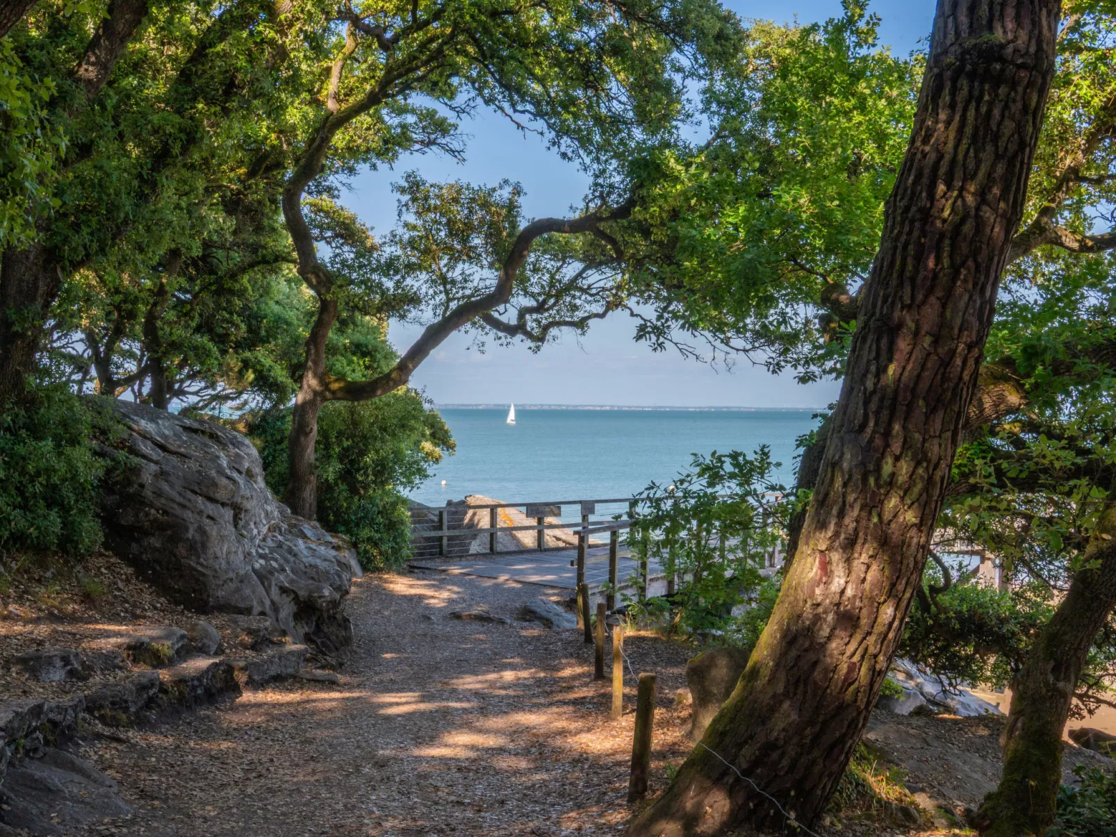  Odalys Collection Le Domaine des Pins-Buiten