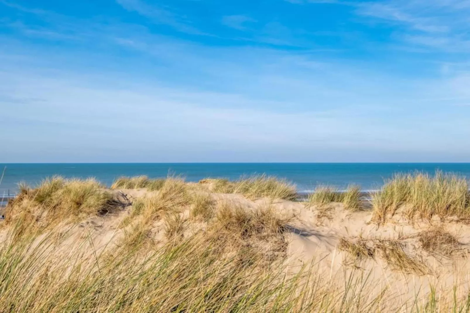 Les Vagues 201G20-Gebieden zomer 1km