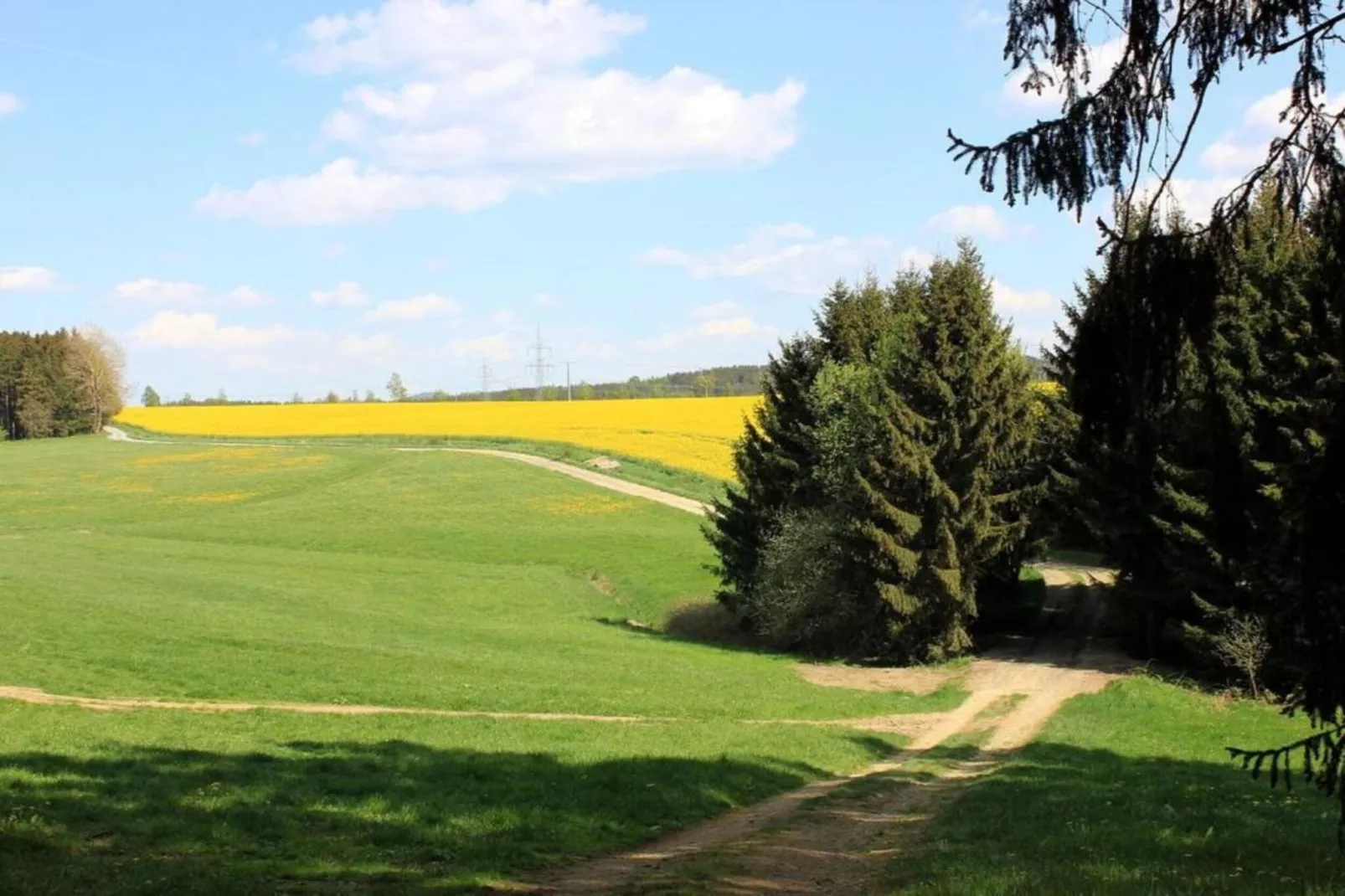 Ferienwohnug an der Saale-Gebieden zomer 20km