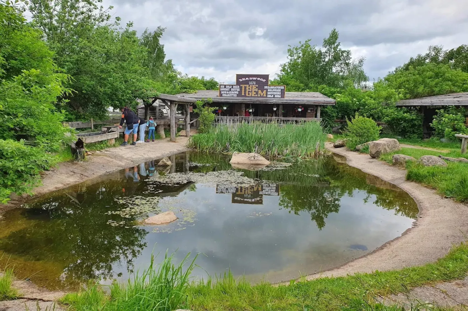 Ferienhaus in Hasselfelde - Haus 318 Auerhahn-Gebieden zomer 5km