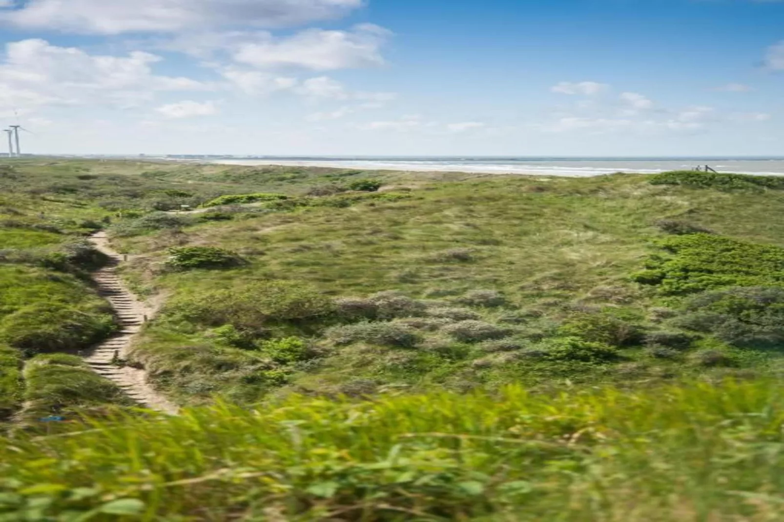 Resort Beach Houses Wijk aan Zee 5-Gebieden zomer 20km