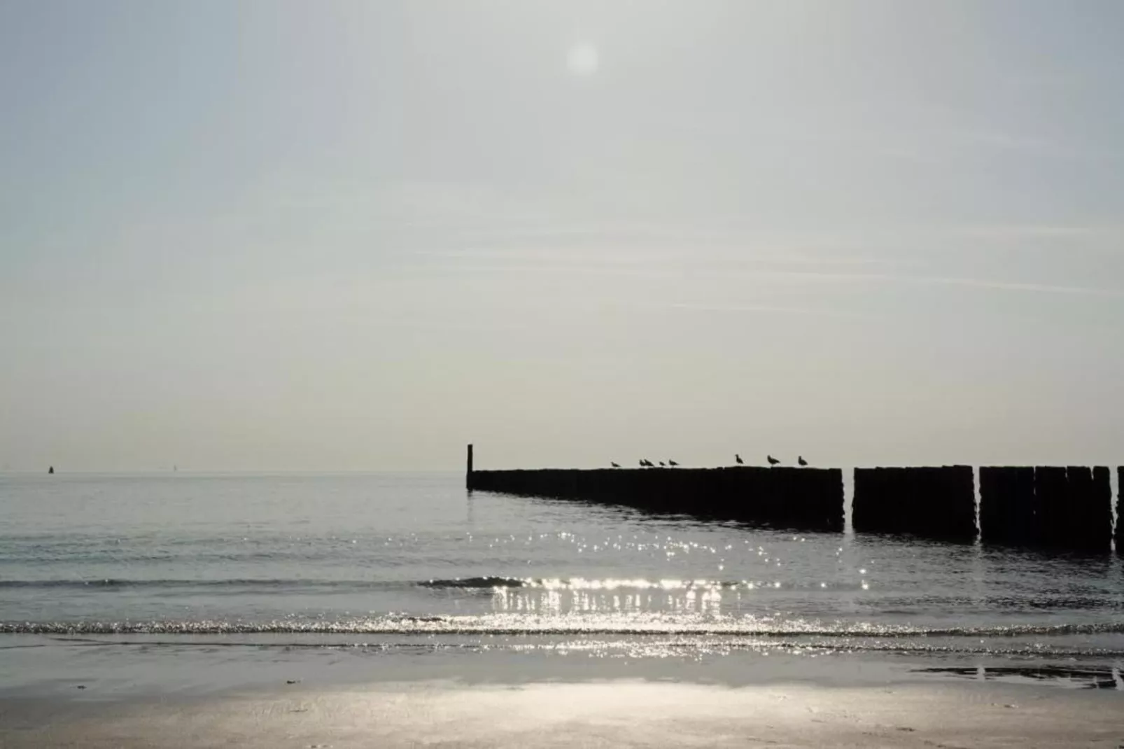 Vakantiepark Hof van Zeeland 1-Gebieden zomer 20km