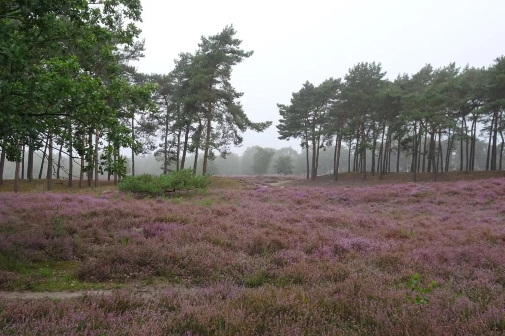 Vakantiepark Schaijk 10-Gebieden zomer 5km