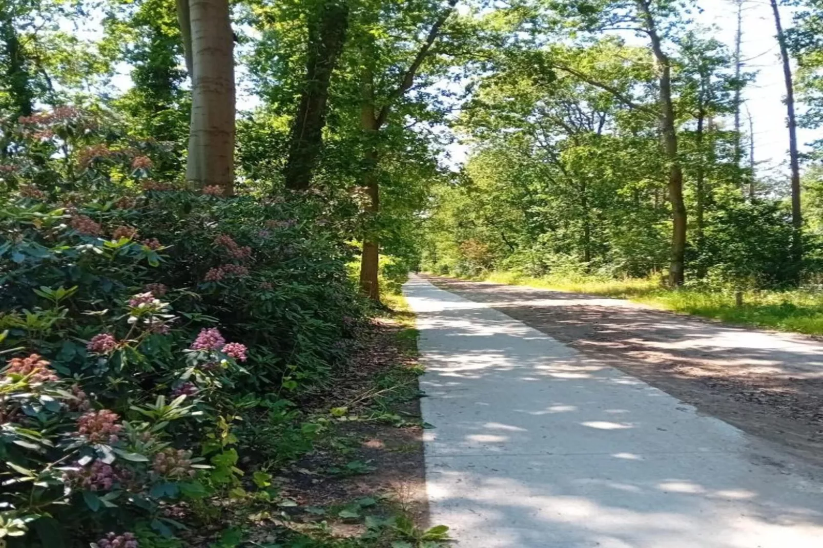 Residence De Eese 26-Gebieden zomer 20km