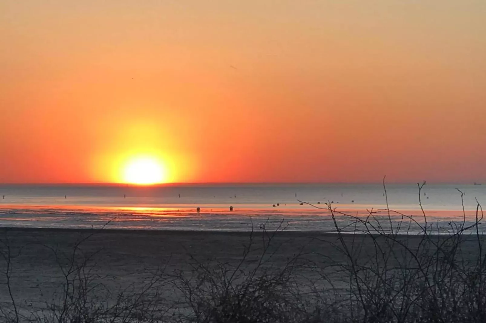 Neue Ferienwohnung in Cuxhaven-Gebieden zomer 20km