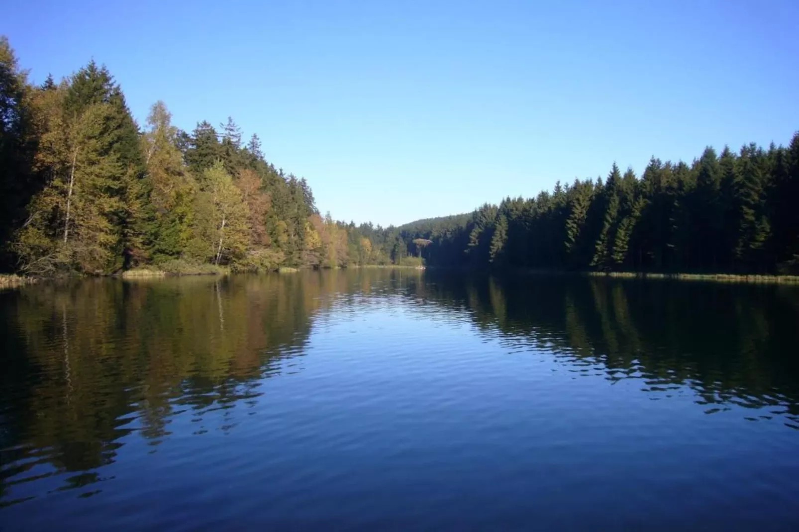 Ferienwohnung Bockwiese-Hahnenklee-Gebieden zomer 20km