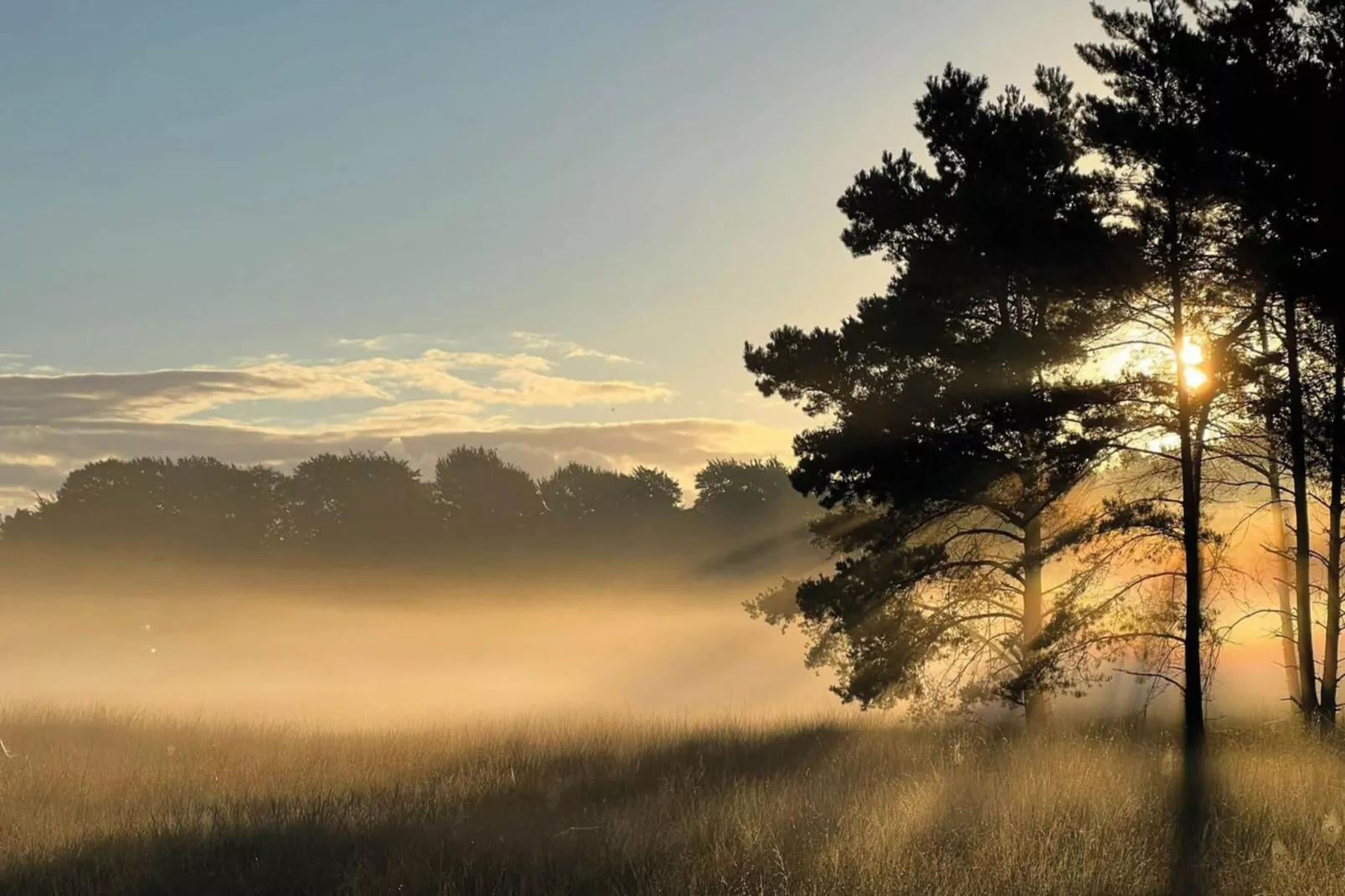 Dwergarend 17-35-Gebieden zomer 20km