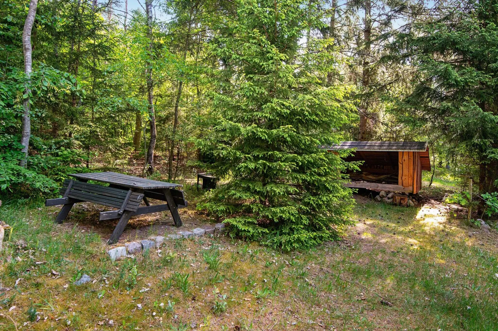 4 persoons vakantie huis in Bryrup-By Traum-Uitzicht
