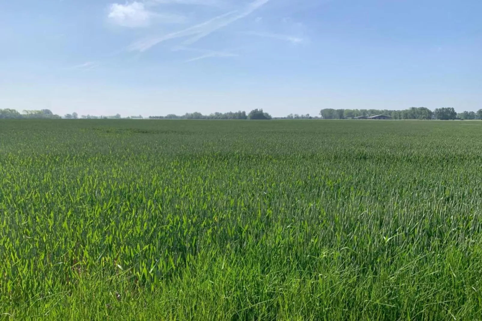 SCORPIO B-Gebieden zomer 20km