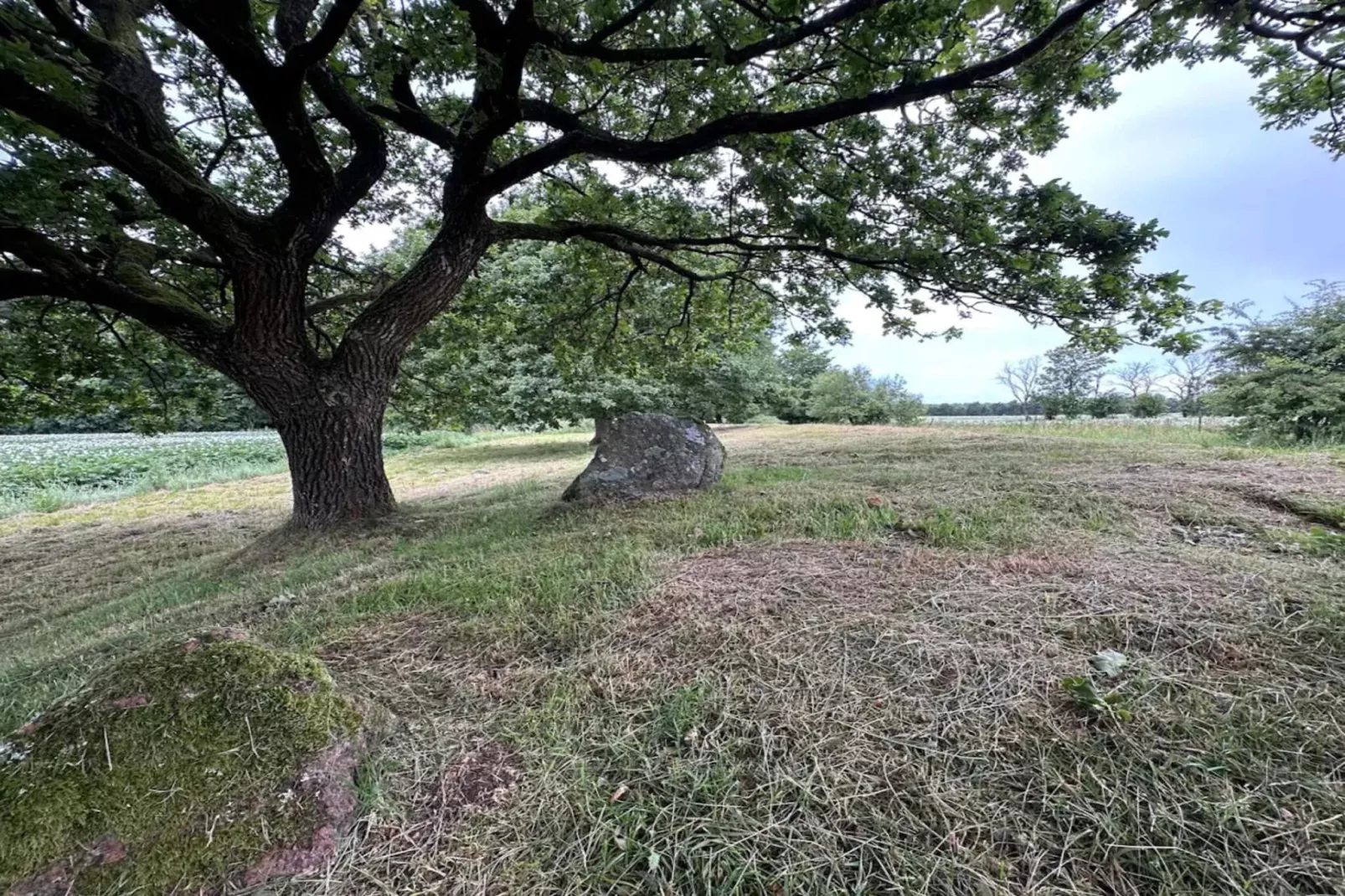 5 sterren vakantie huis in Hovborg-By Traum-Niet-getagd