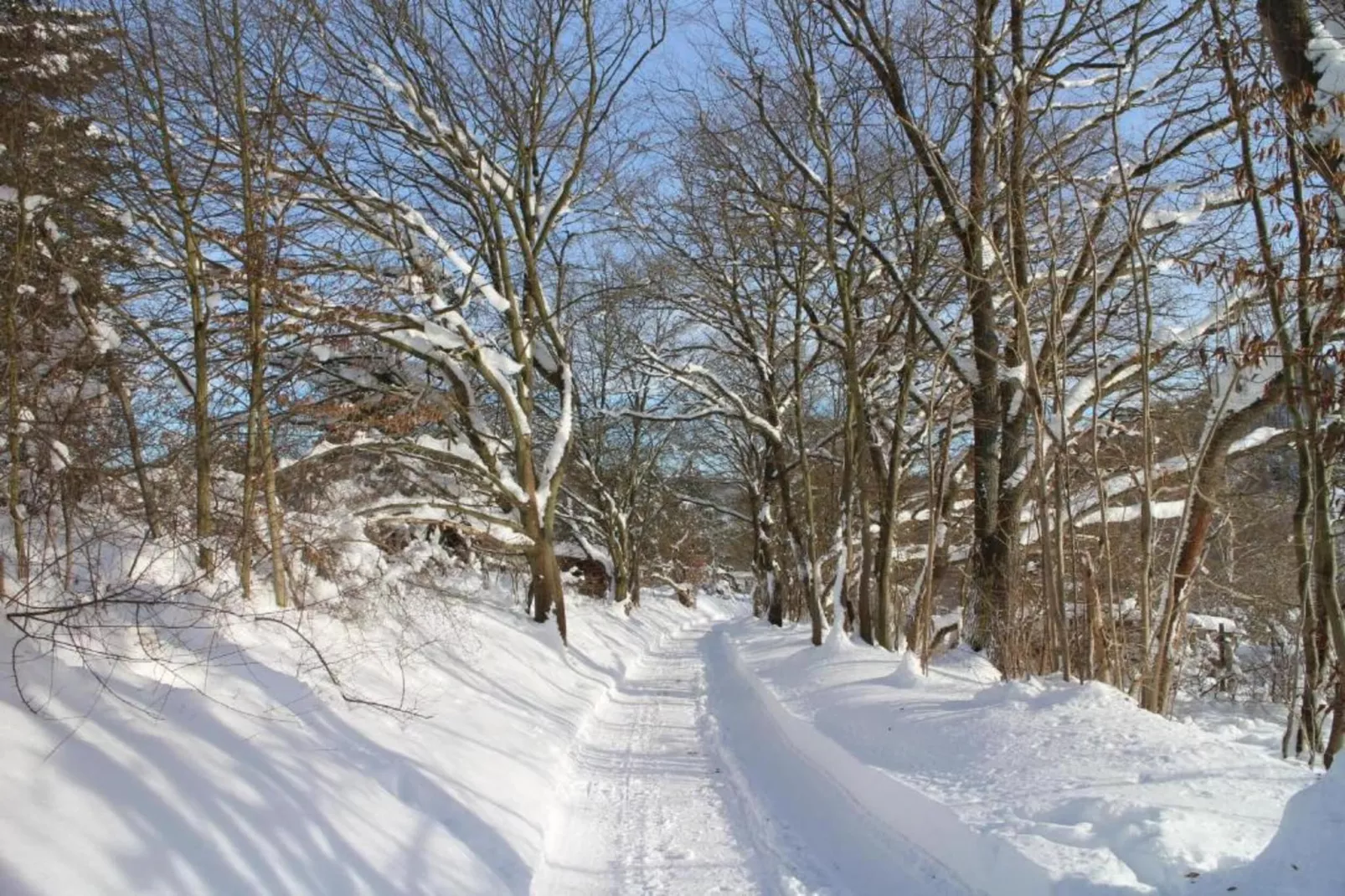 Ferienwohnung Thale-Gebied winter 5km