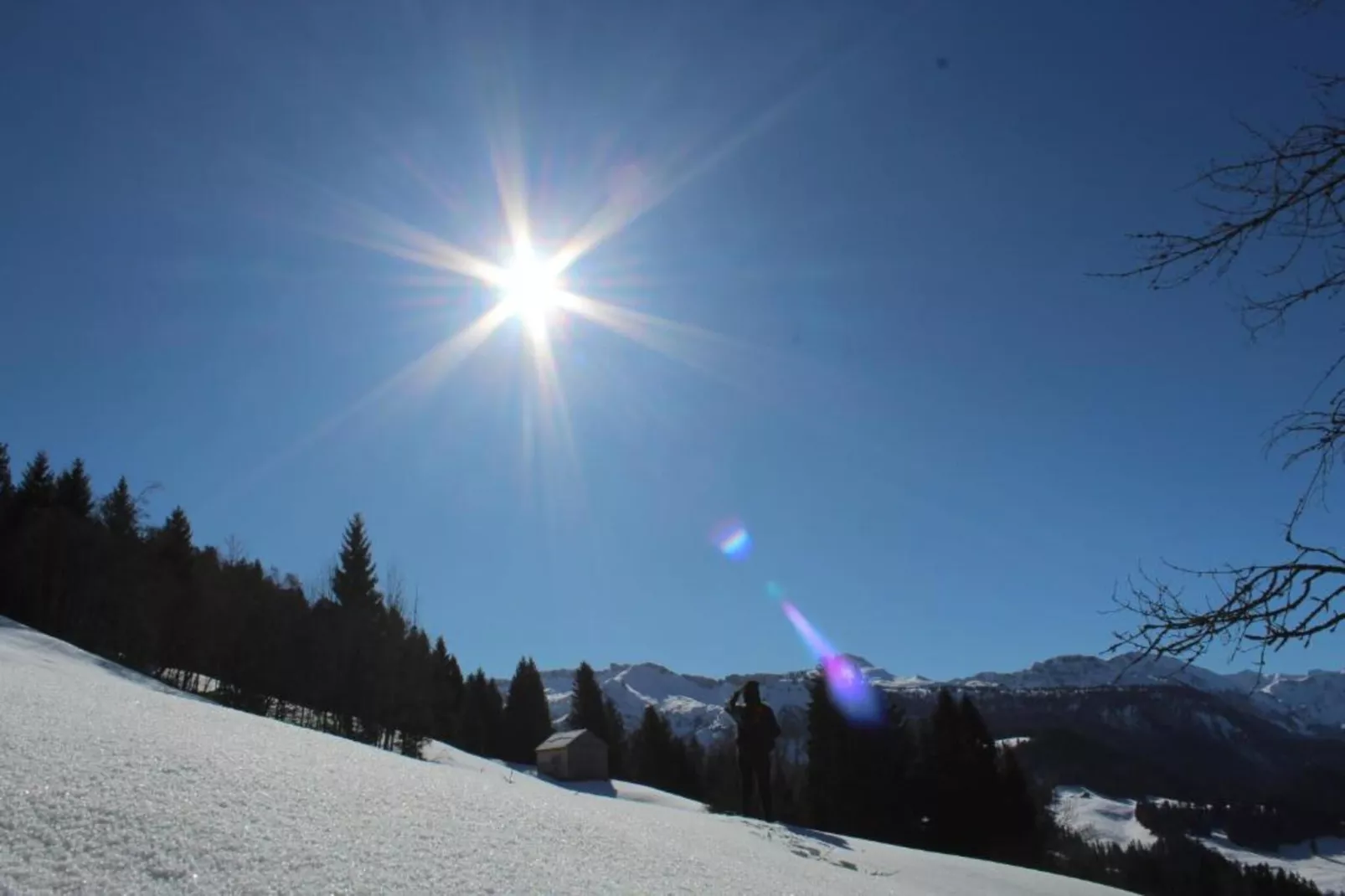 Apartment 4-Gebied winter 20km