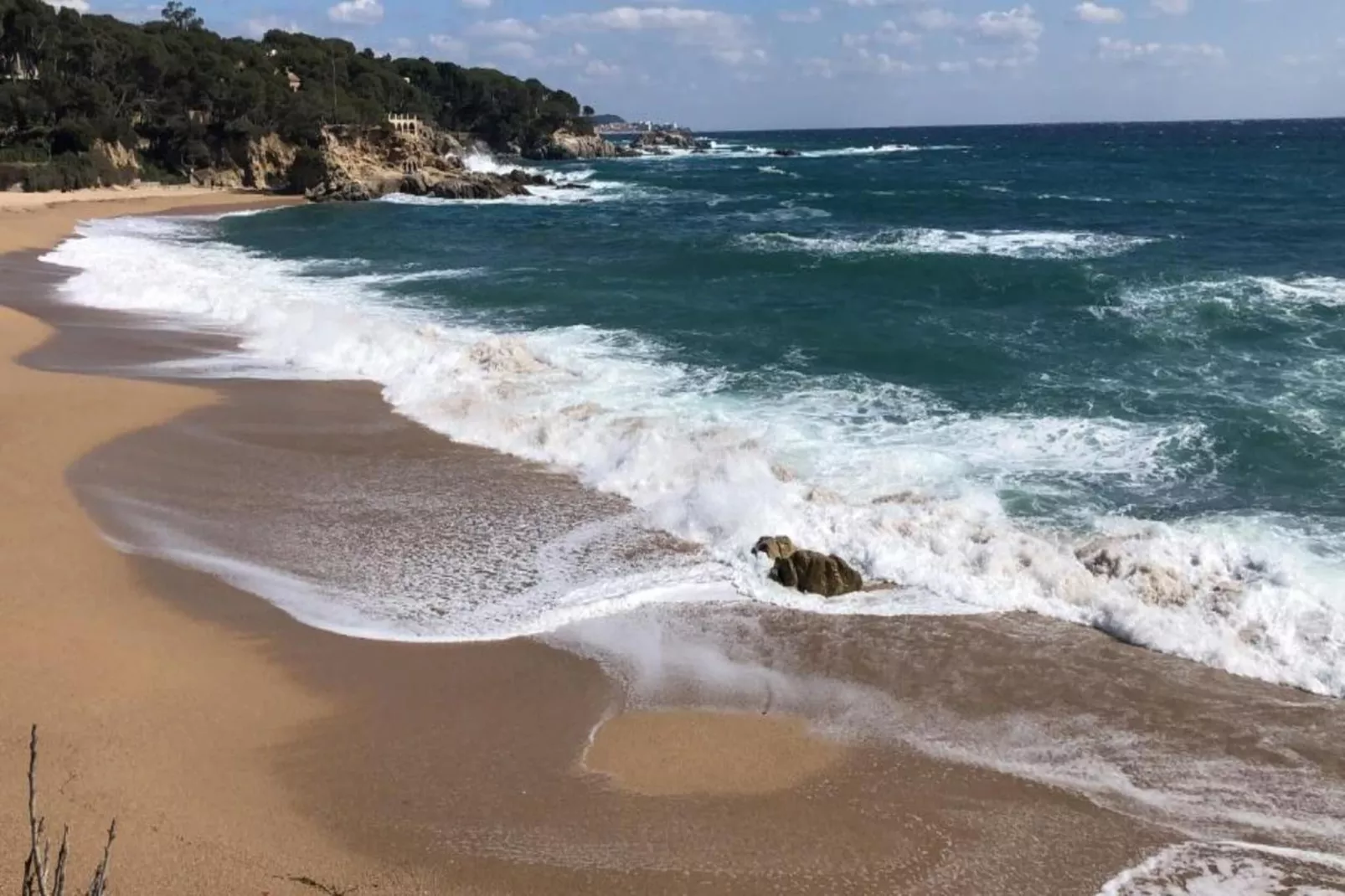 CAMPING INTERPALS- Bungalow Sa Riera-Gebieden zomer 1km