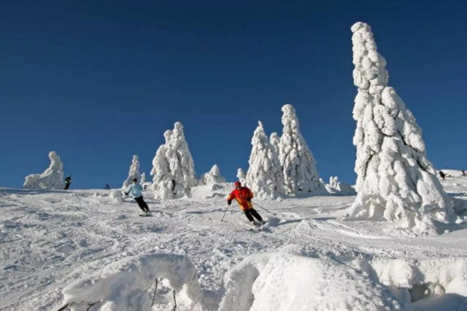 Schönes Holzhaus Arberblick-Gebied winter 20km