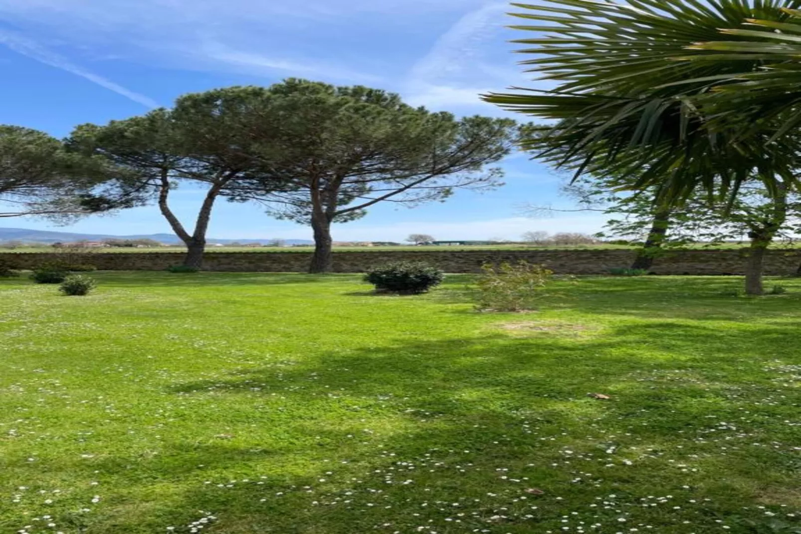 Pino-Gebieden zomer 20km