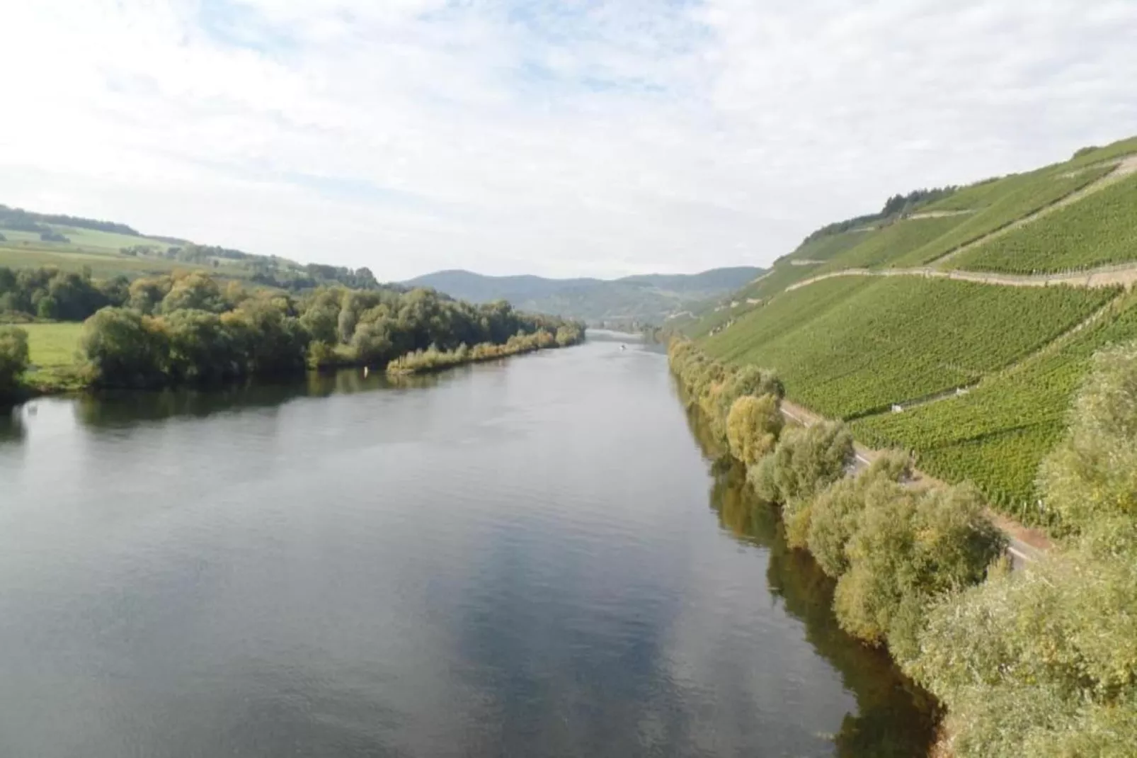 Ferienhaus der Saison an der Mosel-Gebieden zomer 20km